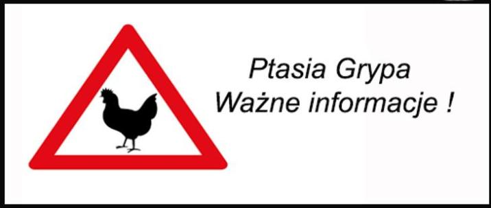 ostrzeżenie&#x20;ptasia&#x20;grypa