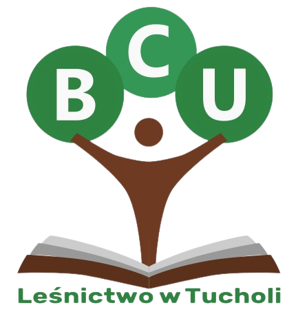 logo&#x20;BCU
